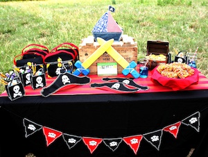Pirate Party supplies